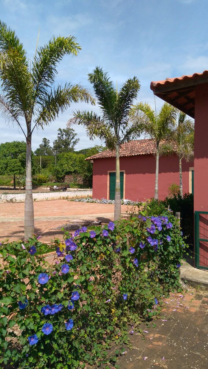 Fazenda Paraizo