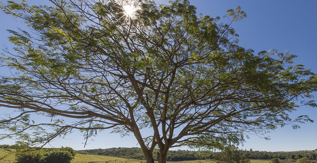 Fazenda Paraizo