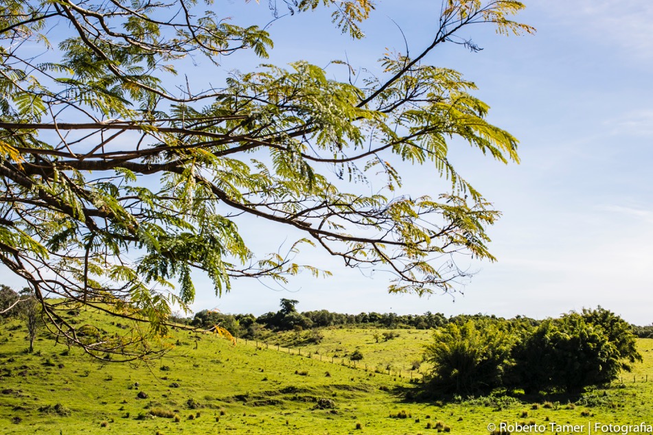 Fazenda Paraizo