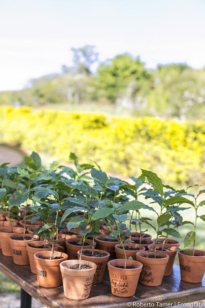 Fazenda Paraizo