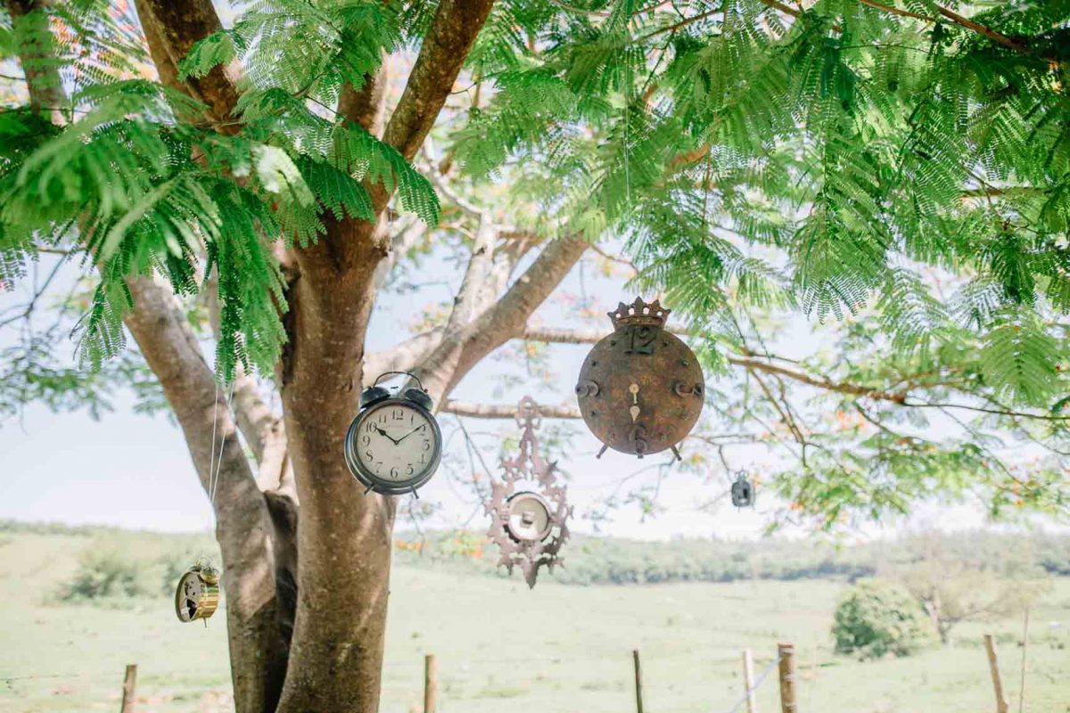 Fazenda Paraizo